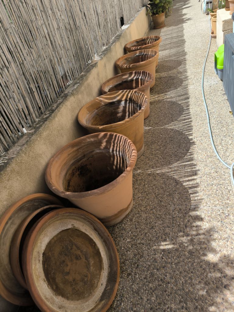 Verschiedene Terracotta Blumenkübel zu verkaufen