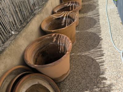 Verschiedene Terracotta Blumenkübel zu verkaufen