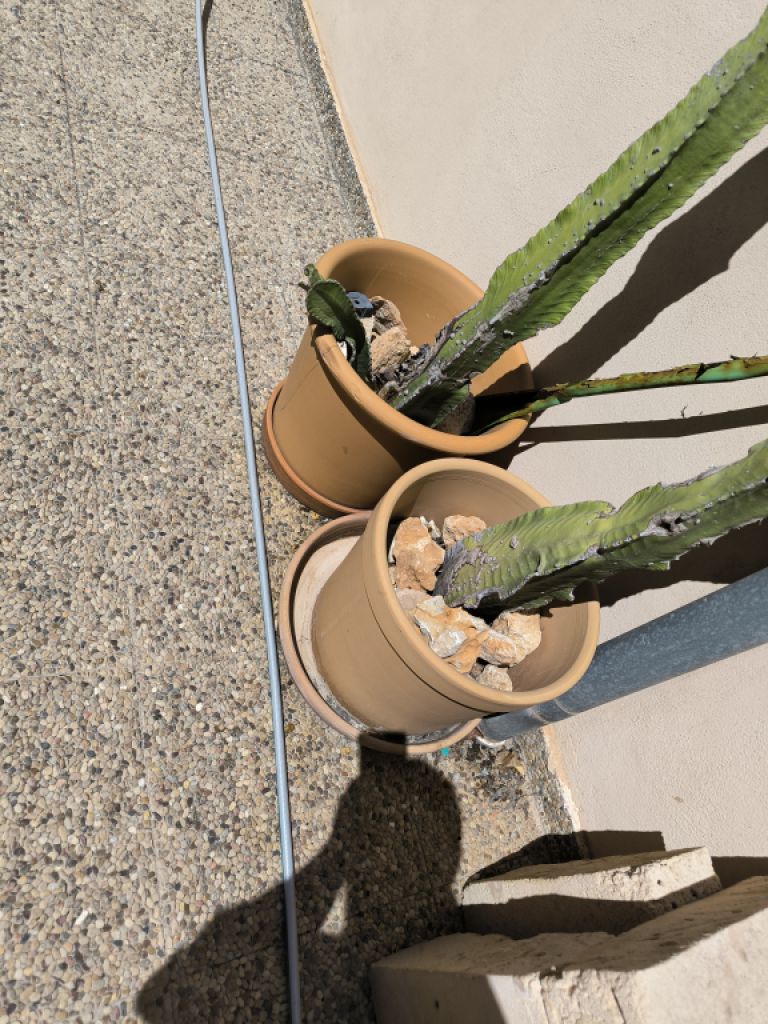 Verschiedene Terracotta Blumenkübel zu verkaufen