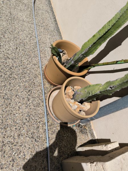 Verschiedene Terracotta Blumenkübel zu verkaufen