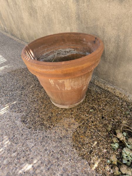Verschiedene Terracotta Blumenkübel zu verkaufen