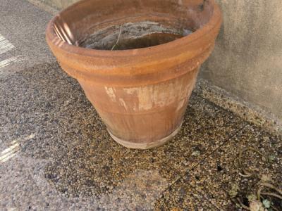 Verschiedene Terracotta Blumenkübel zu verkaufen