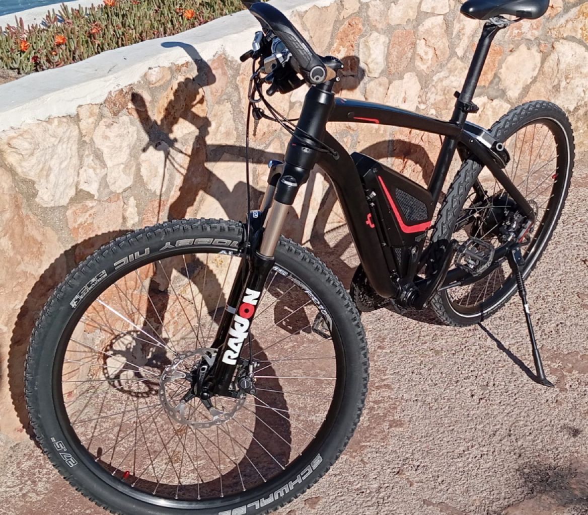 Vollblut 500-SE Flyer Elektrofahrrad