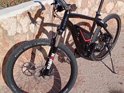 Vollblut 500-SE Flyer Elektrofahrrad