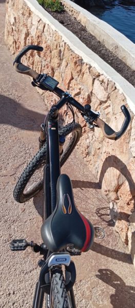 Vollblut 500-SE Flyer Elektrofahrrad