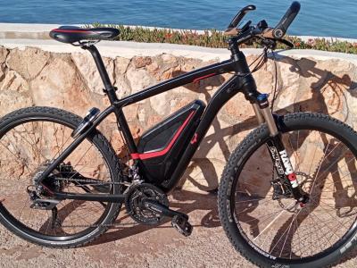 Vollblut 500-SE Flyer Elektrofahrrad