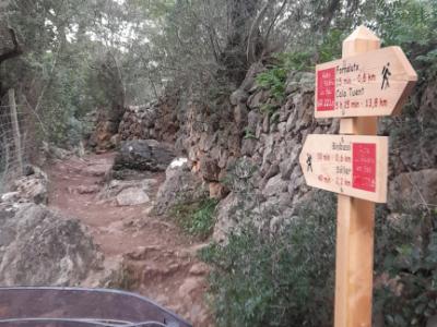 Se busca compañero/a de senderismo