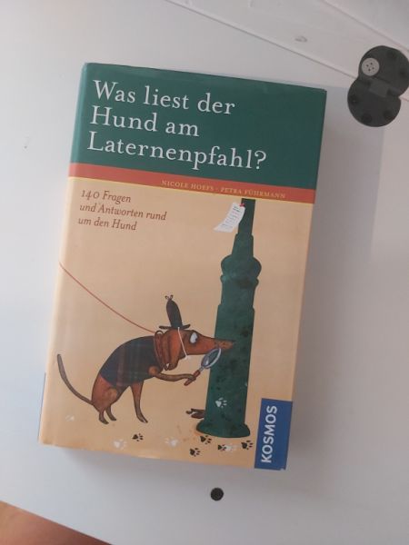 Was liest der Hund am Laternenpfahl?: 140 Fragen und Antworten rund um den Hund