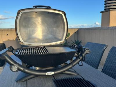 Weber Elektrogrill Modell Q2400 mit Grillplatte
