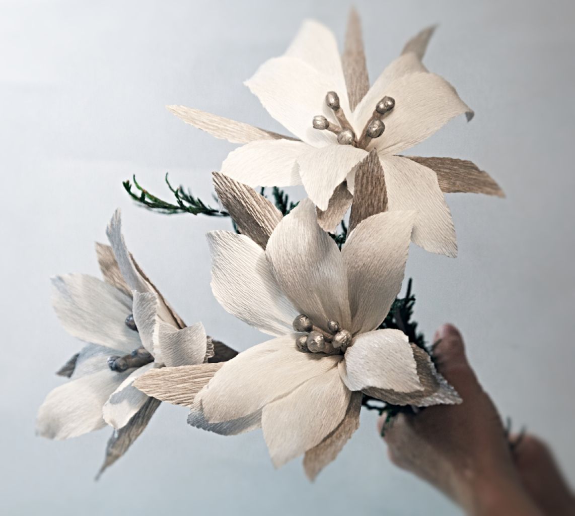 Christmas Poinsettia