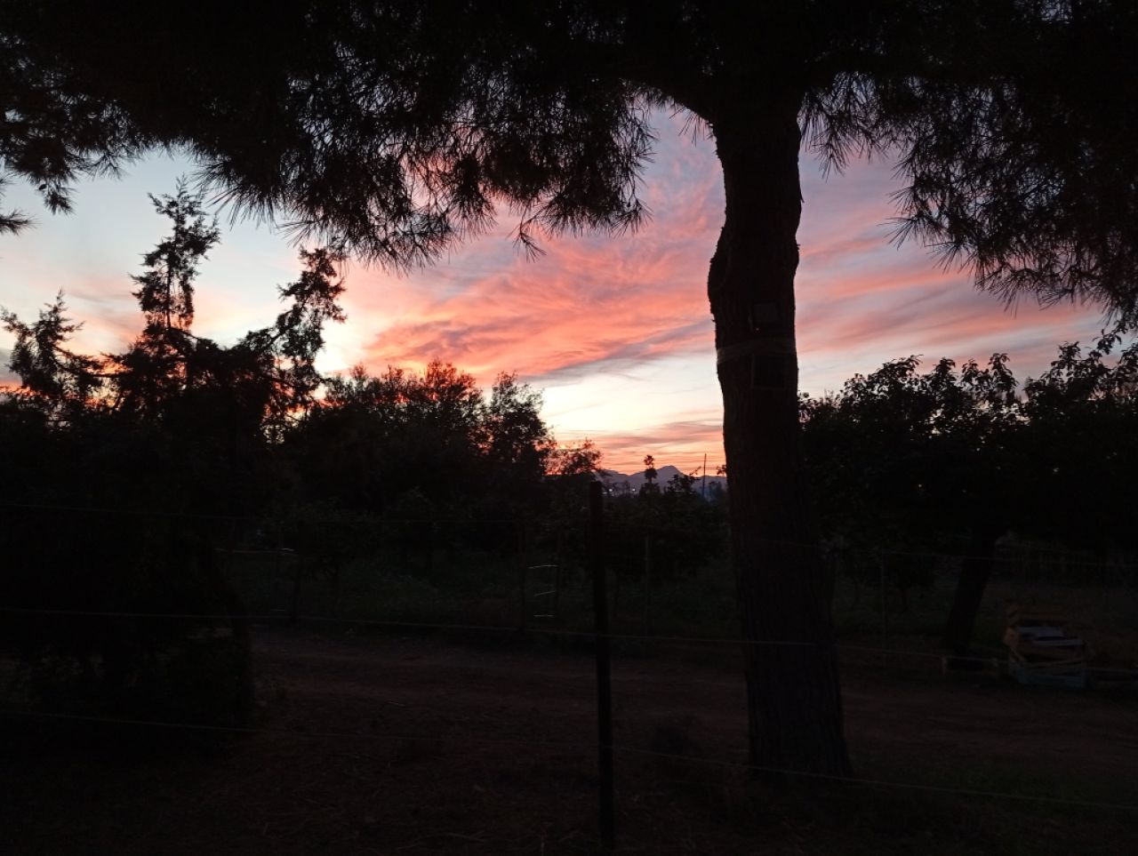 Room in a shared flat on a horse finca