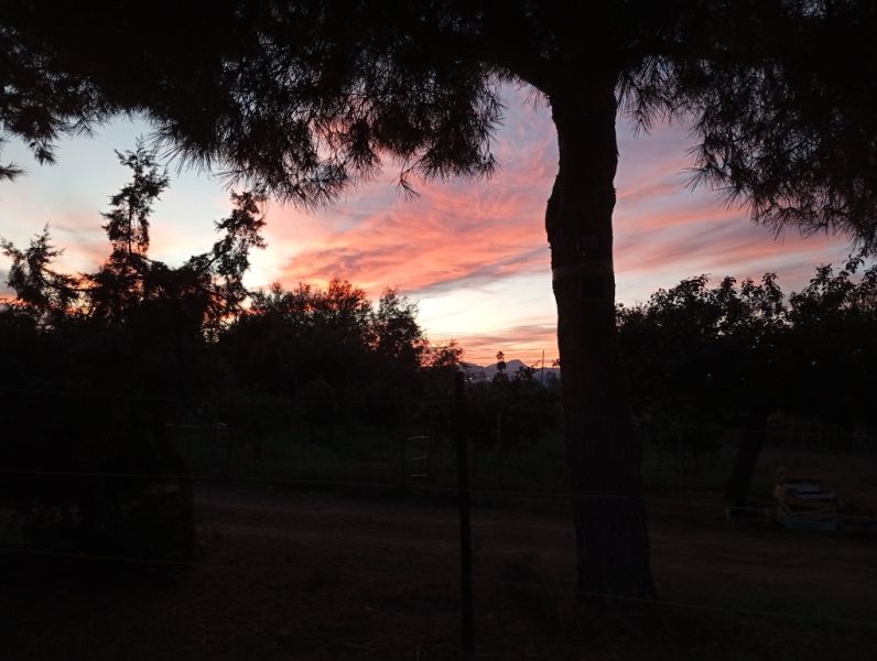 Room in a shared flat on a horse finca