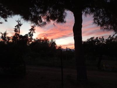 Room in a shared flat on a horse finca