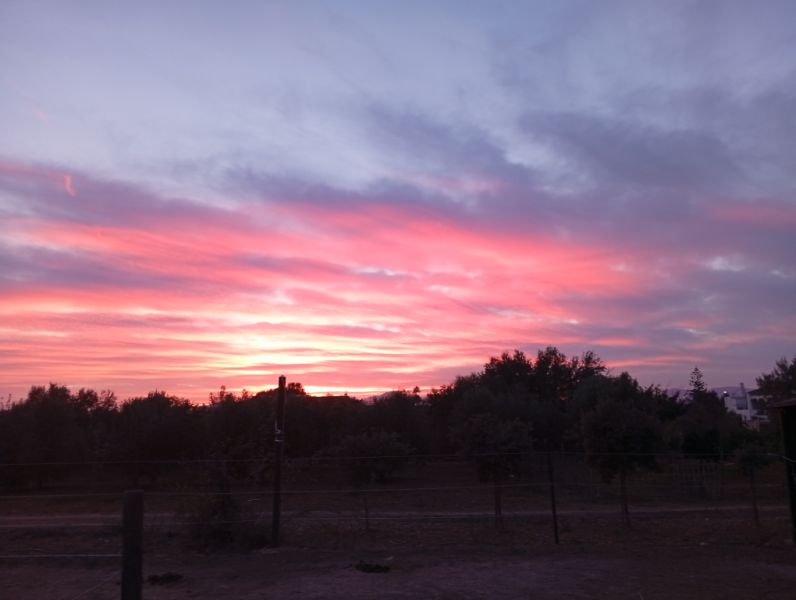 Room in a shared flat on a horse finca