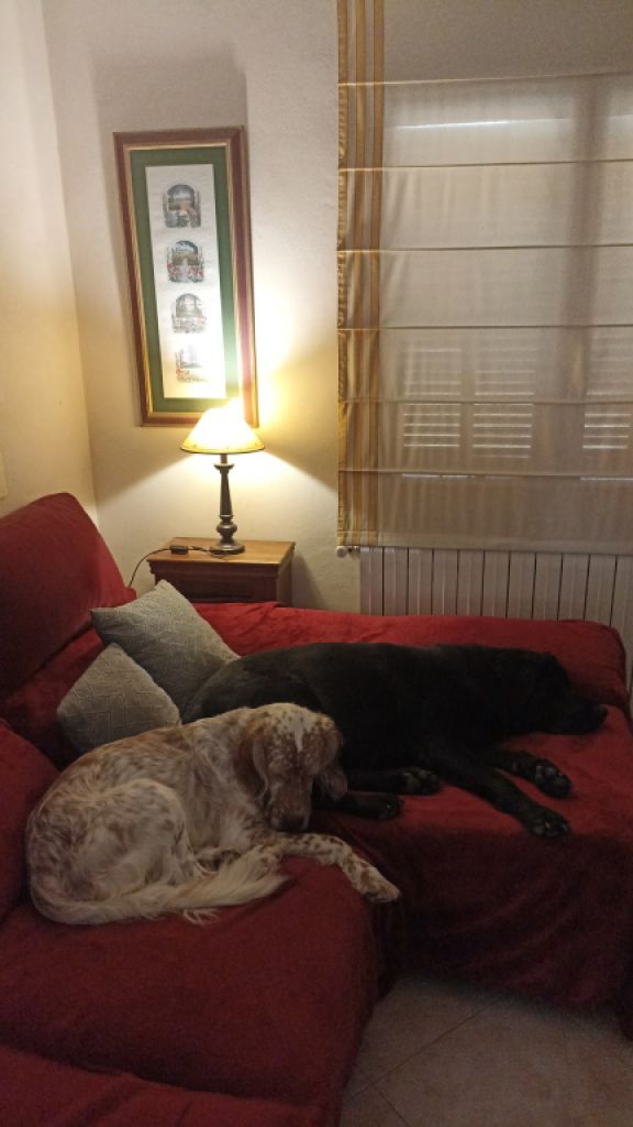 WG Zimmer in Haus mit wunderschöner Lage am Ortsrand von Campanet/Mallorca