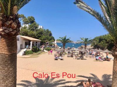 WINTER: Apartment with large terrace and communal garden in Es Forti - Cala Dor -- AP 133