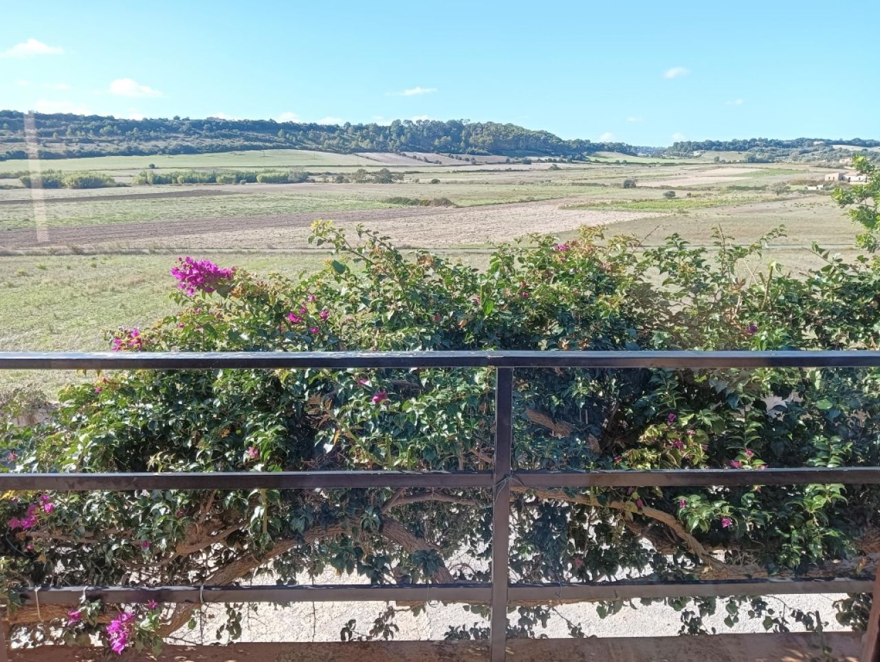 WINTER: Charmante FInca mit schönem Garten und Heizung bei San LLorenc --- F 03 WT