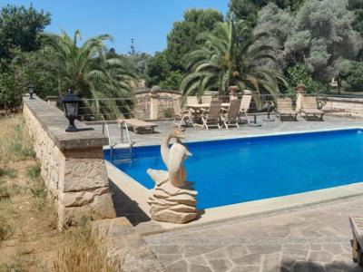 Winter: Grosse Finca mit traumhaftem Garten  bei Ses Salines -- F  63 WT