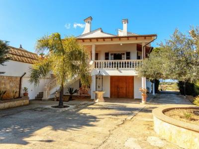 Winter: Ländl. Apartment with 2 terraces and communal plot near Petra - AP 16 WT