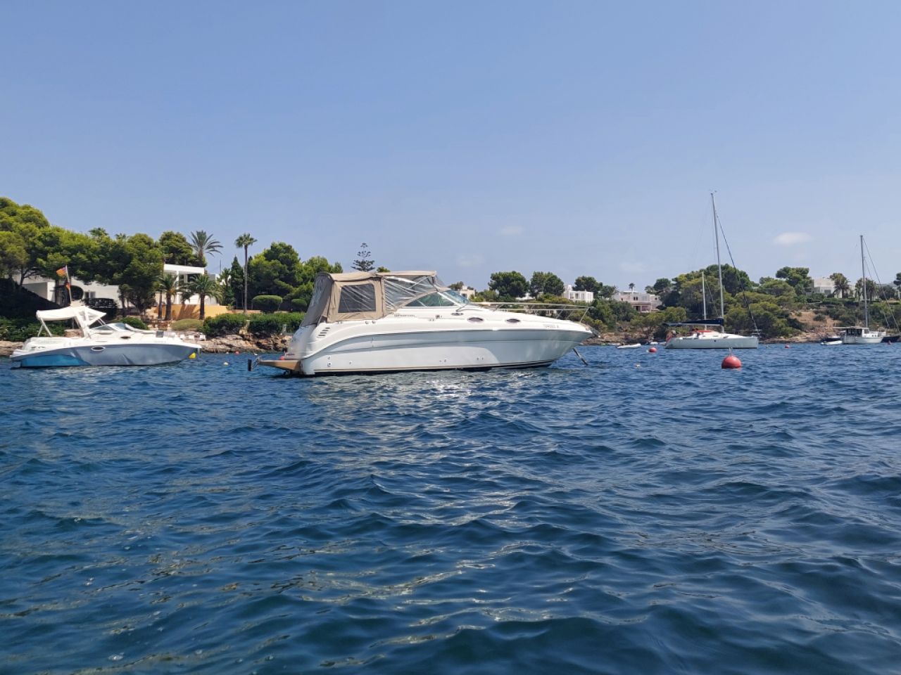 WINTER PRICE: Motorboat Sea Ray 260 Sundancer with berth until March