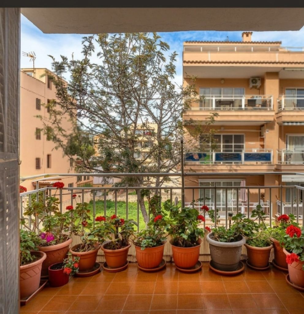 Wohnung mit Terrasse, 200 m vom Strand von Cala Millor