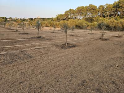 Zerkleinerung von Steinen, Bauschutt und Aushubmaterial.