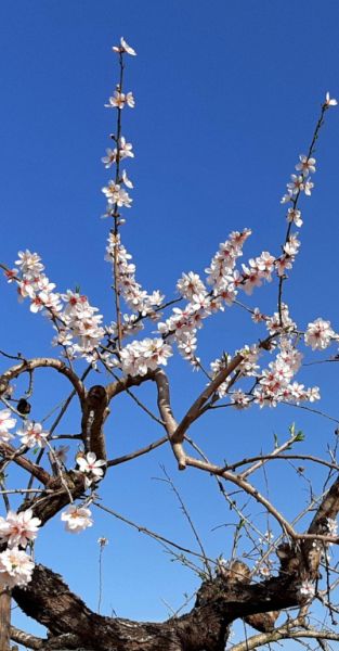 Zimmer mit Bad und Dusche