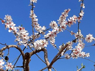 Zimmer mit Bad und Dusche