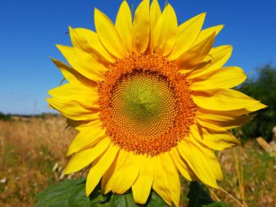 Zimmer mit Bad und Dusche