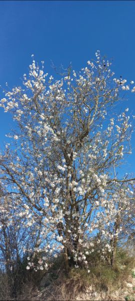 Zimmer mit Bad und Dusche