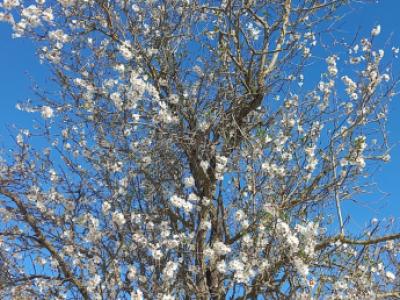 Zimmer mit Bad und Dusche