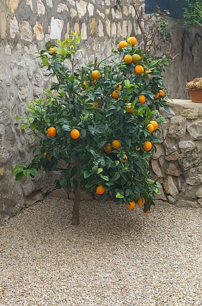 Zimmer mit Bad und Dusche