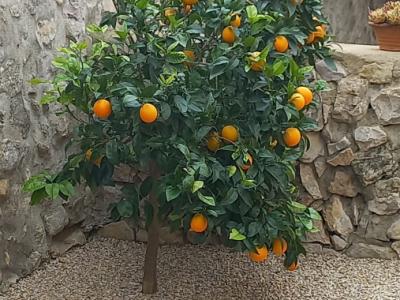 Zimmer mit Bad und Dusche