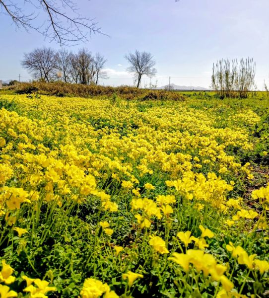 Zimmer mit Bad und Dusche