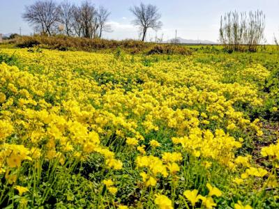 Zimmer mit Bad und Dusche