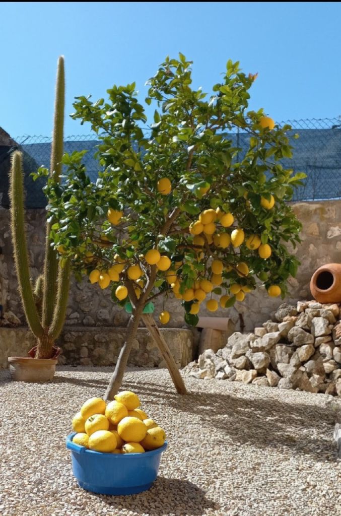 Zimmer mit Bad und Dusche