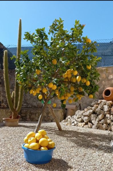 Zimmer mit Bad und Dusche