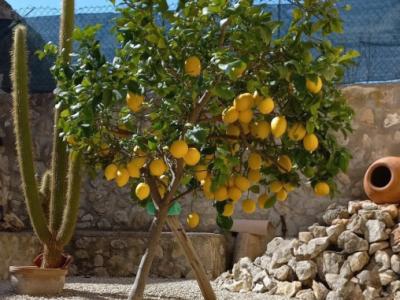 Zimmer mit Bad und Dusche