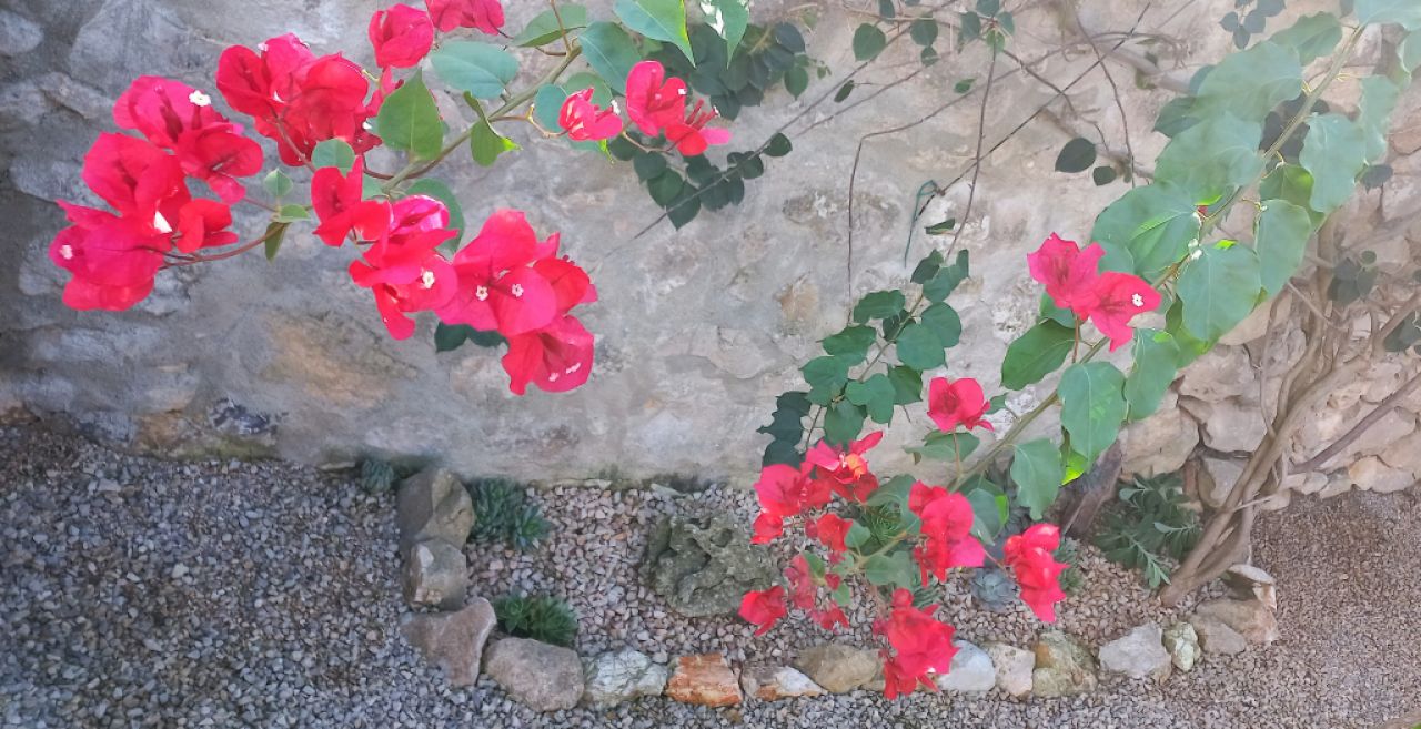 Zimmer mit Bad und Dusche