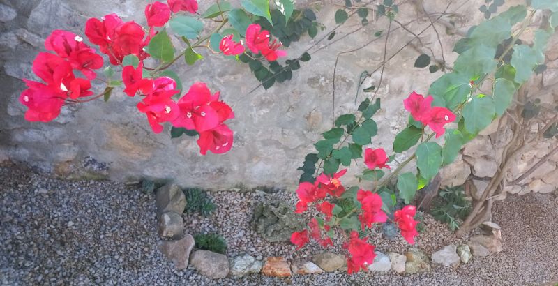 Zimmer mit Bad und Dusche