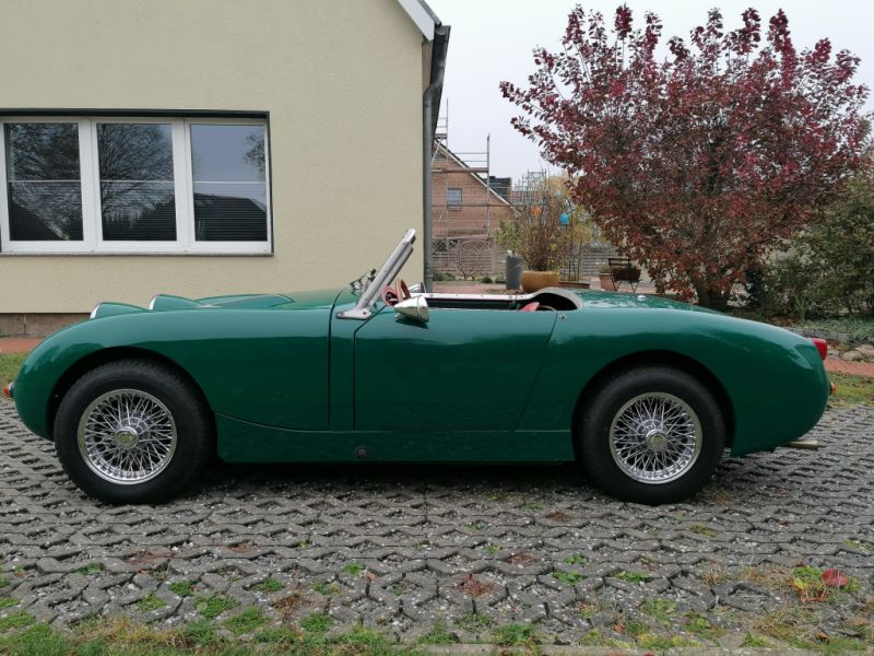 For sale Austin Healey Sprite "Frogeye"