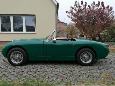 For sale Austin Healey Sprite "Frogeye"