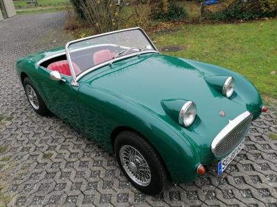 For sale Austin Healey Sprite "Frogeye"