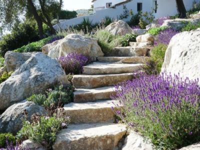 Zuverlässige Hilfe für Gartenarbeiten gesucht?