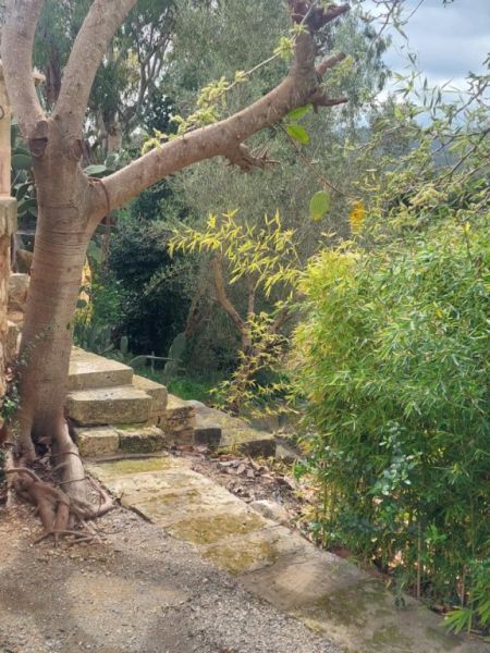 Segundo apartamento en finca cerca de Manacor