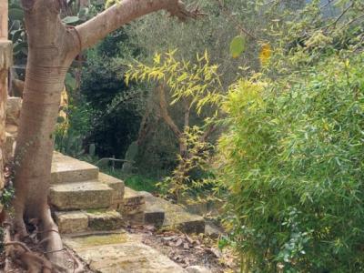 Segundo apartamento en finca cerca de Manacor